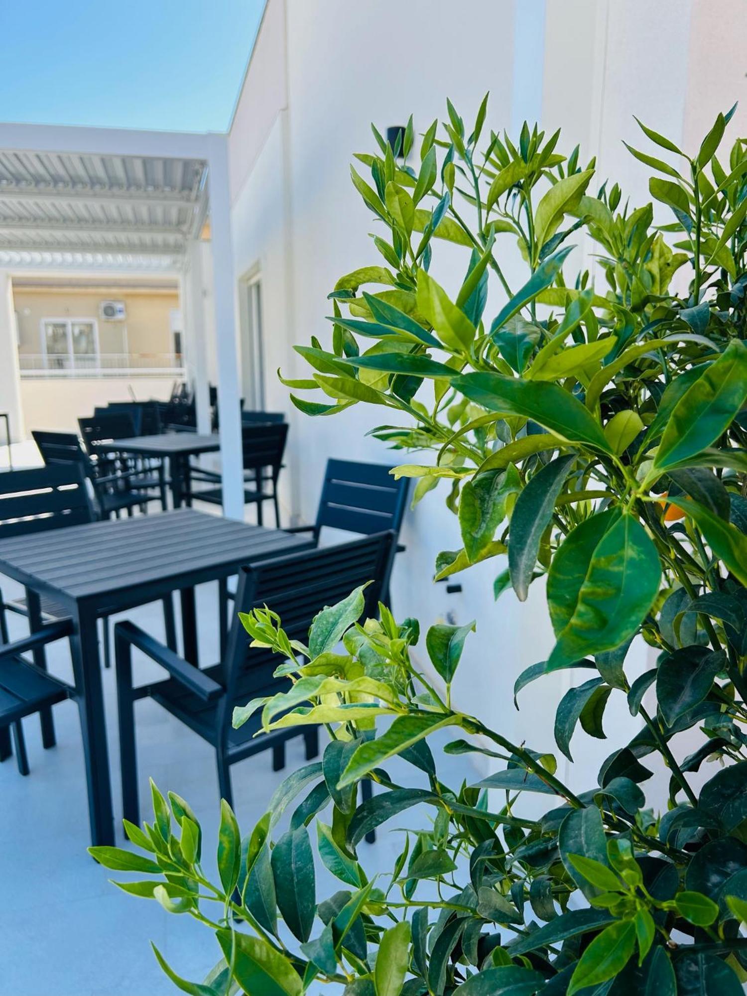 Aqua Marine B&B - Rooms And Apartments Μιλάτσο Εξωτερικό φωτογραφία